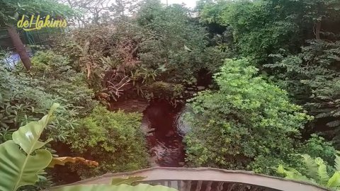 Potret Aviary Irfan Hakim Dibuat Bak Hutan Sungguhan yang Dihuni Ratusan Hewan & Dilengkapi Air Terjun