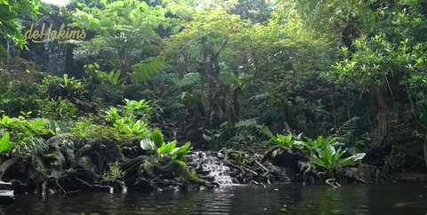 Potret Aviary Irfan Hakim Dibuat Bak Hutan Sungguhan yang Dihuni Ratusan Hewan & Dilengkapi Air Terjun