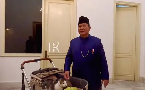 Berapa Harga Stroller Milik Bobby Kertanegara, Kucing Peliharaan Prabowo?