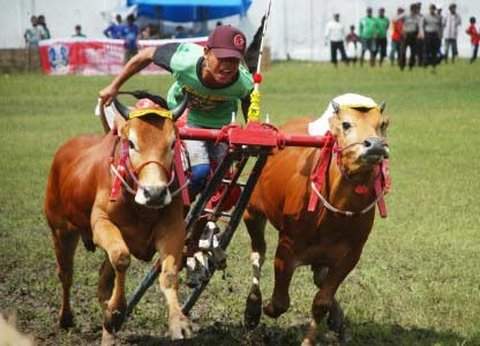 3 Pesona Bangkalan, Tanah Kelahiran Ulama Besar hingga Surga Kuliner