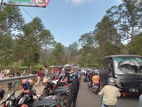 Hilang Sekitar Dua Tahun, Tugu Botol Kecap Raksasa di Puncak Akhirnya Muncul Kembali, Begini Penampakan Terbaru