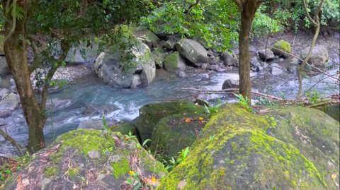 Tak Seseram Namanya, Curug Larangan Sukabumi Tawarkan Suasana Air Terjun yang Hening dan Sunyi