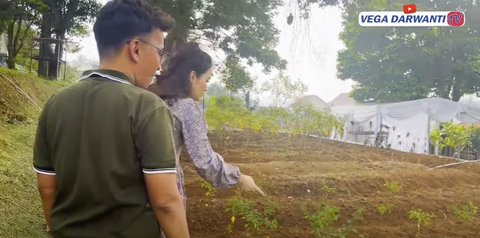 9 Potret Terbaru Megahnya Vila Ruben Onsu di Bogor, Ada Banyak Pendopo, Sawah, Kolam Renang hingga Kebun Sayuran