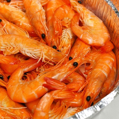 8 Manfaat Udang untuk Bayi, Mendukung Sistem Imun Tubuh