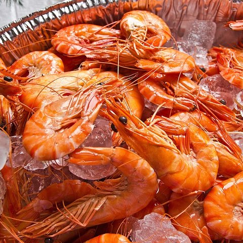 8 Manfaat Udang untuk Bayi, Mendukung Sistem Imun Tubuh