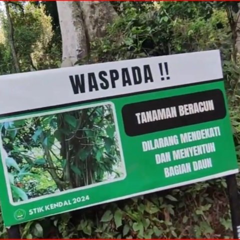 Melihat Pesona Curug Telu Kalices, Air Terjun Tiga Tingkat yang Letaknya Tersembunyi di Hutan Kendal