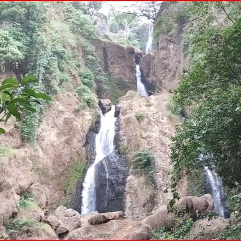 Melihat Pesona Curug Telu Kalices, Air Terjun Tiga Tingkat yang Letaknya Tersembunyi di Hutan Kendal