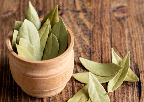 Daun Salam: Herbal Kuno dengan Manfaat Modern untuk Kesehatan Pencernaan dan Kolesterol