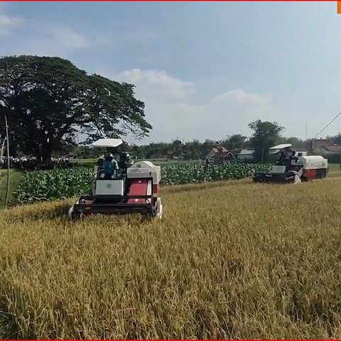 Petani Asal Rembang Curi Perhatian saat Bertemu Wakil Menteri Pertanian, Minta Hal Ini Pada Pemerintah