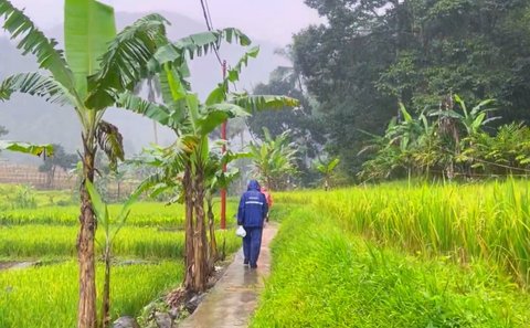 Mengunjungi Curug Cikaracak, Surga Tersembunyi di Bogor yang Cocok jadi Spot Healing