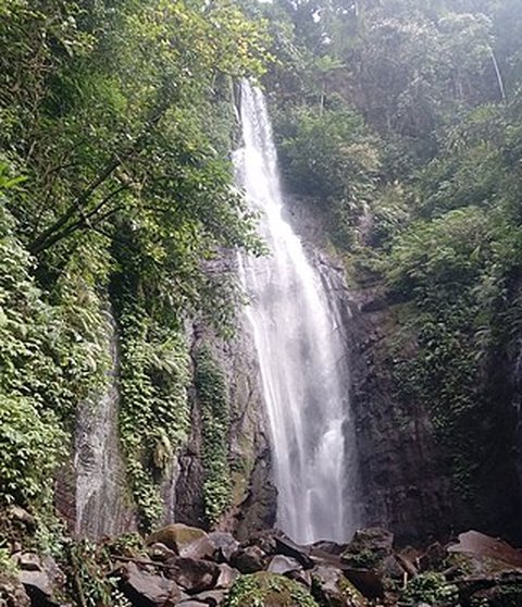 Mengunjungi Curug Cikaracak, Surga Tersembunyi di Bogor yang Cocok jadi Spot Healing