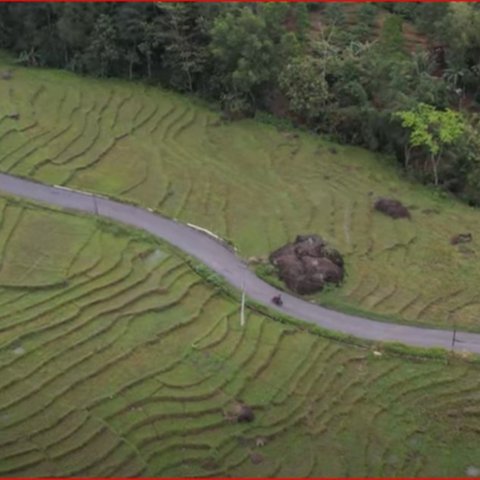 3 Fakta Unik Geopark Kebumen yang Dulunya Dasar Samudra, Kini Dapat Pengakuan dari UNESCO