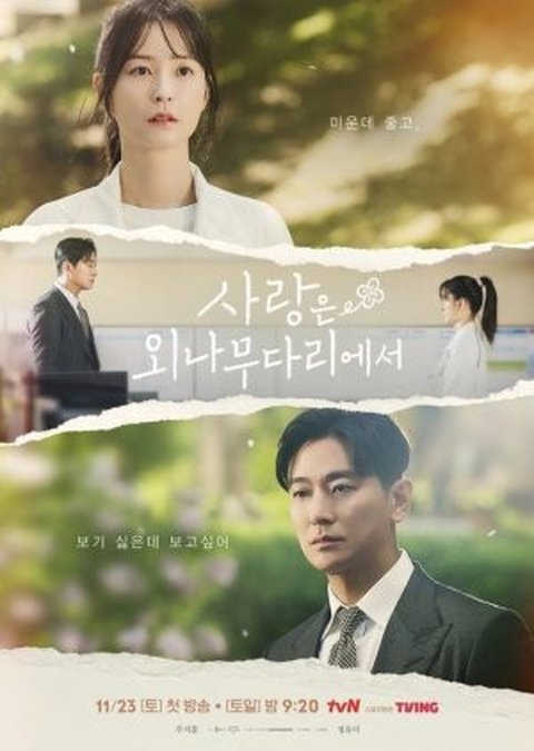 8 Rekomendasi Drama Korea yang Tayang Bulan November 2024, Wajib Ditonton Pengikut Sekte On Going