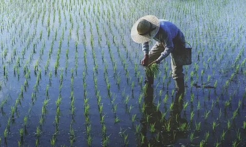 Apa Akibat dari Badai Lanina? Indonesia Mengalami Peningkatan Curah Hujan yang Signifikan