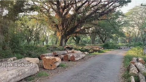 Potret Rumah Masa Kecil Ari Lasso Lama Terbengkalai, Tak Ada Penghuninya dan Kental Nuansa Menyeramkan Bikin Merinding