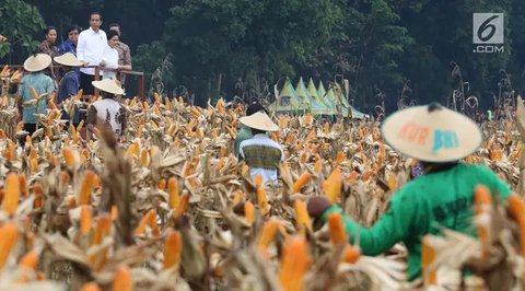 Aneka Makanan Berwarna Kuning ini Ampuh Mencegah Serangan Jantung, Bisa Membersihkan Arteri dari Kolesterol Tinggi