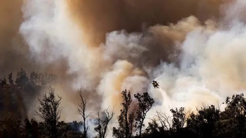 FOTO: Dahsyatnya Kebakaran Hutan di California, Puluhan Ribu Warga Dievakuasi