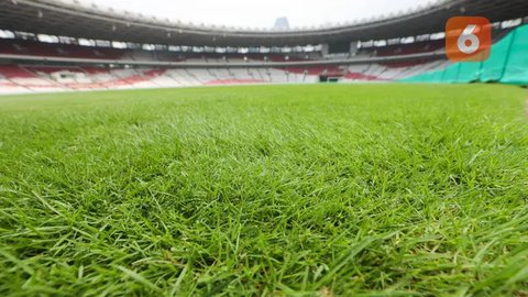 FOTO: Penampakan Kondisi Terbaru Rumput Stadion GBK Jelang Timnas Indonesia vs Jepang