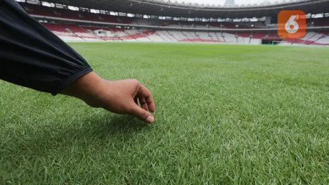 FOTO: Penampakan Kondisi Terbaru Rumput Stadion GBK Jelang Timnas Indonesia vs Jepang