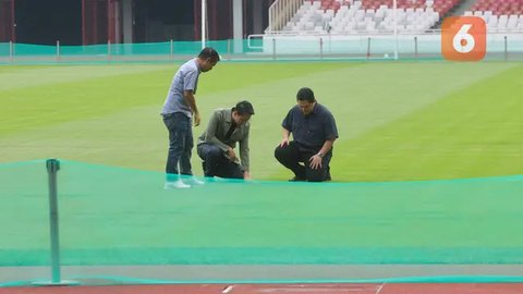 FOTO: Penampakan Kondisi Terbaru Rumput Stadion GBK Jelang Timnas Indonesia vs Jepang