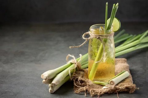 Raih Kesehatan Optimal dengan Resep Rebusan Daun Pandan untuk Kolesterol dan Darah Tinggi