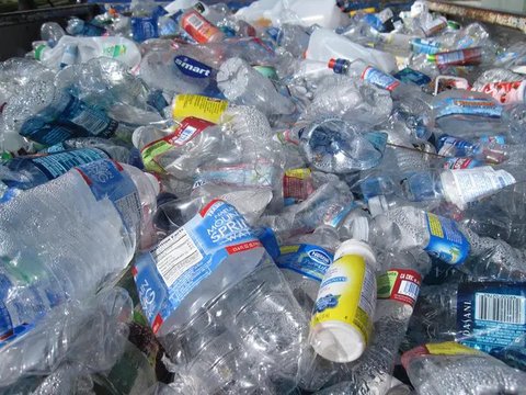 Ilmuwan Temukan Ulat Pemakan Plastik, Bisa Jadi Sekutu Manusia dalam Perang Melawan Limbah