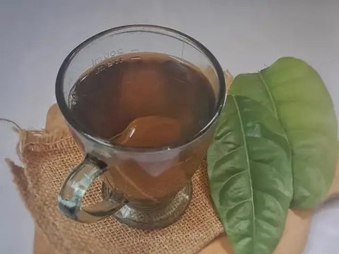 Cara Membuat Minuman Daun Salam, Inilah Resep Minuman Tradisional yang Mudah