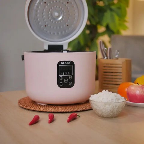 Cara Menghindari Nasi Cepat Basi di Rice Cooker, Penyebab dan Tips Agar Tahan Lama