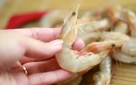 Cara Praktis Simpan Udang Tanpa Bau dan Tetap Segar