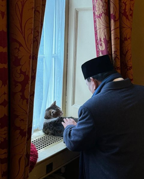 FOTO: Potret Prabowo Gemas Elus-Elus Larry 'The Cat', Kucing Lucu Penghuni Kantor PM Inggris