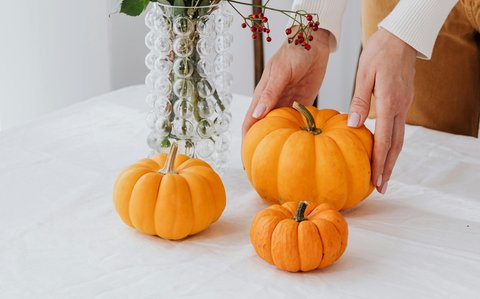 Mengenal 3 Jenis Labu yang Jarang Orang Tahu Namanya, dari Labu Parang hingga Butternut Pumpkin yang Kaya Nutrisi