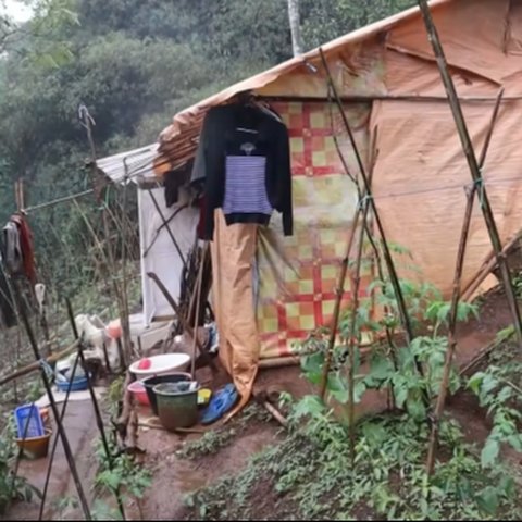 ⁠Miris Satu Keluarga Tinggal di Gubuk Tengah Hutan Tanpa Listrik, Tiga Anaknya Putus Sekolah