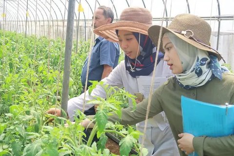 Kementerian Pertanian Buka Lowongan Gaji Rp10 Juta per Bulan, Cek Syarat dan Cara Daftarnya