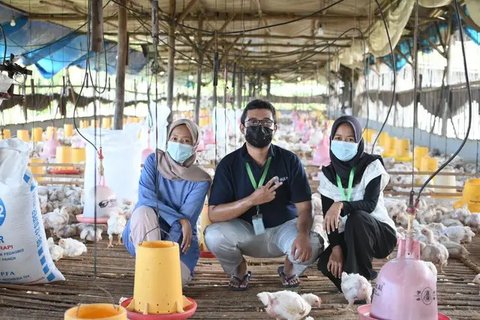 Kementerian Pertanian Buka Lowongan Gaji Rp10 Juta per Bulan, Cek Syarat dan Cara Daftarnya