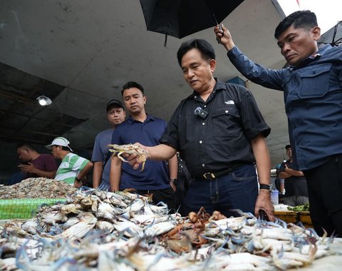 Gaya Keren Menko HAM Jalan-Jalan ke Pasar Ikan, Tak Disangka Bertemu Eks Bupati Adik Ahok