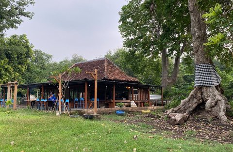 Menyulam Udara Sejuk di Kedai Bojonegoro, Menyiapkan Warisan Berharga untuk Anak Cucu