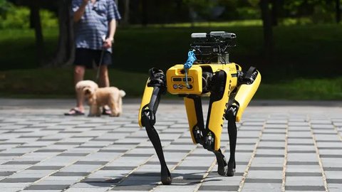 Cetak Sejarah, Robot Anjing Ikut Lomba Maraton Sampai Garis Finis, Tempuh Jarak 42 Kilometer