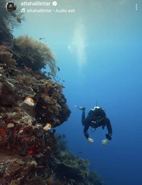 Gombalan Maut Atta Halilintar di Instagram, Sebut Aurel Hermansyah Hiu Laut yang Buat Hidupnya Lebih Berwarna