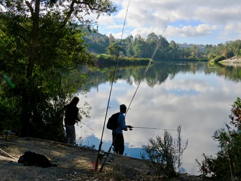 Reel in Relaxation: Bagaimana Memancing dapat Menyembuhkan Pikiran yang Tertekan