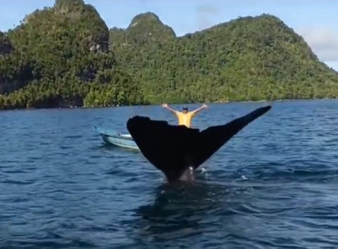 Gokil, Anak-anak Papua Bermain dengan Seekor Ikan Paus di Laut Raja Ampat