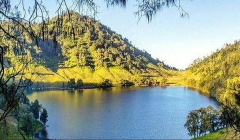 10 Destinasi Hiking Gunung di Sekitar Malang yang Wajib Anda Coba! Pemandangan Indah & Udara Segar Menanti