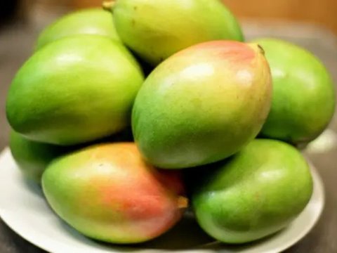 Kulit Mangga Kaya Nutrisi, Bisa Bantu Turunkan Kolesterol, Inilah Langkah-Langkahnya