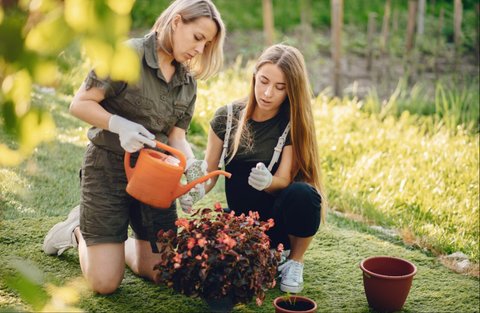 Merawat Tanaman, Merawat Diri: Manfaat Berkebun bagi Kesehatan Fisik dan Mental