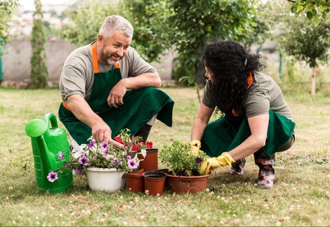 Merawat Tanaman, Merawat Diri: Manfaat Berkebun bagi Kesehatan Fisik dan Mental