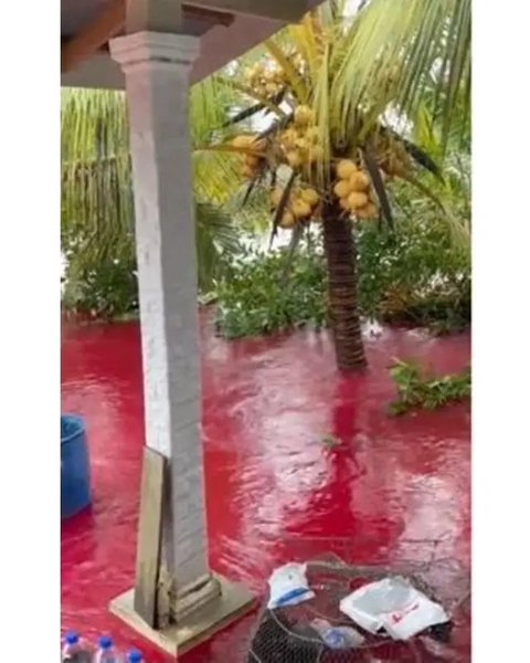 Warga Dikejutkan dengan Banjir Berwarna Merah seperti Darah, Penyebanya Tak Disangka