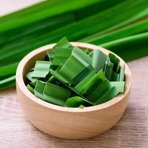 Cara Membuat Rebusan Daun Pandan Sebagai Obat Alami yang Berkhasiat