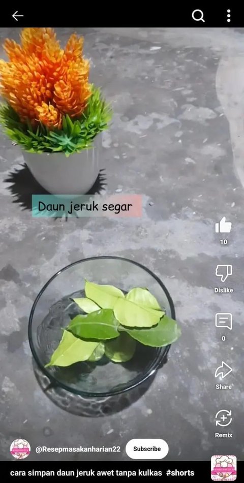 Cara Menyimpan Daun Jeruk Tidak Cepat Hitam dan Busuk