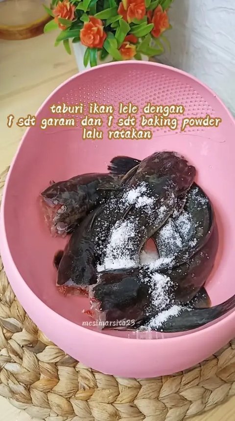 Tips Menyimpan Ikan Lele Tanpa Lemari Pendingin ala Warganet