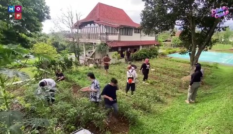 Ruben Onsu Coba Berkebun, Baru Saja Panen Cabai yang Segar