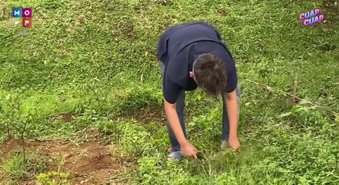 Ruben Onsu Coba Berkebun, Baru Saja Panen Cabai yang Segar